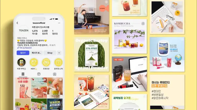 티젠 콤부차 캠페인 대표 이미지