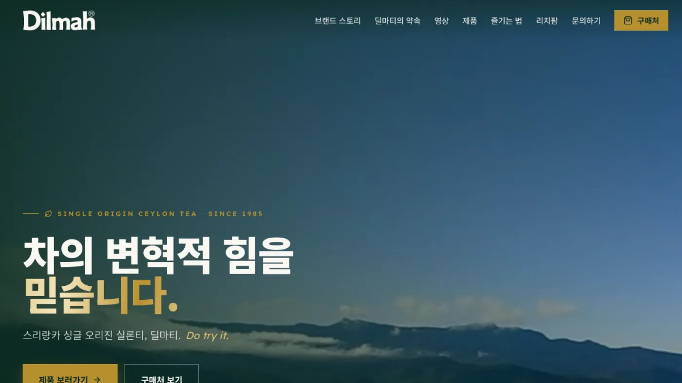 딜마티 홈페이지 제작 마케팅 레퍼런스